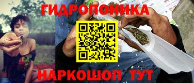 a pvp Обнинск
