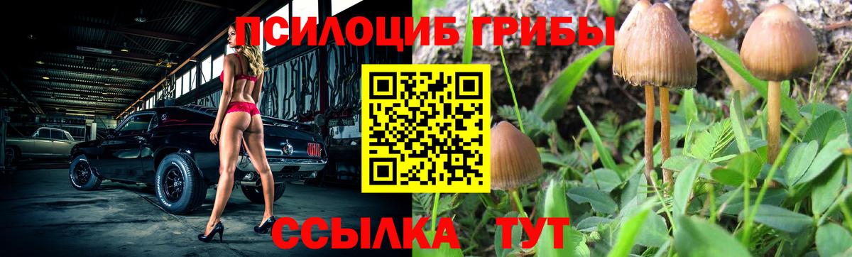 Галлюциногенные грибы Magic Shrooms  Вход с VPN  Приморско-Ахтарск 